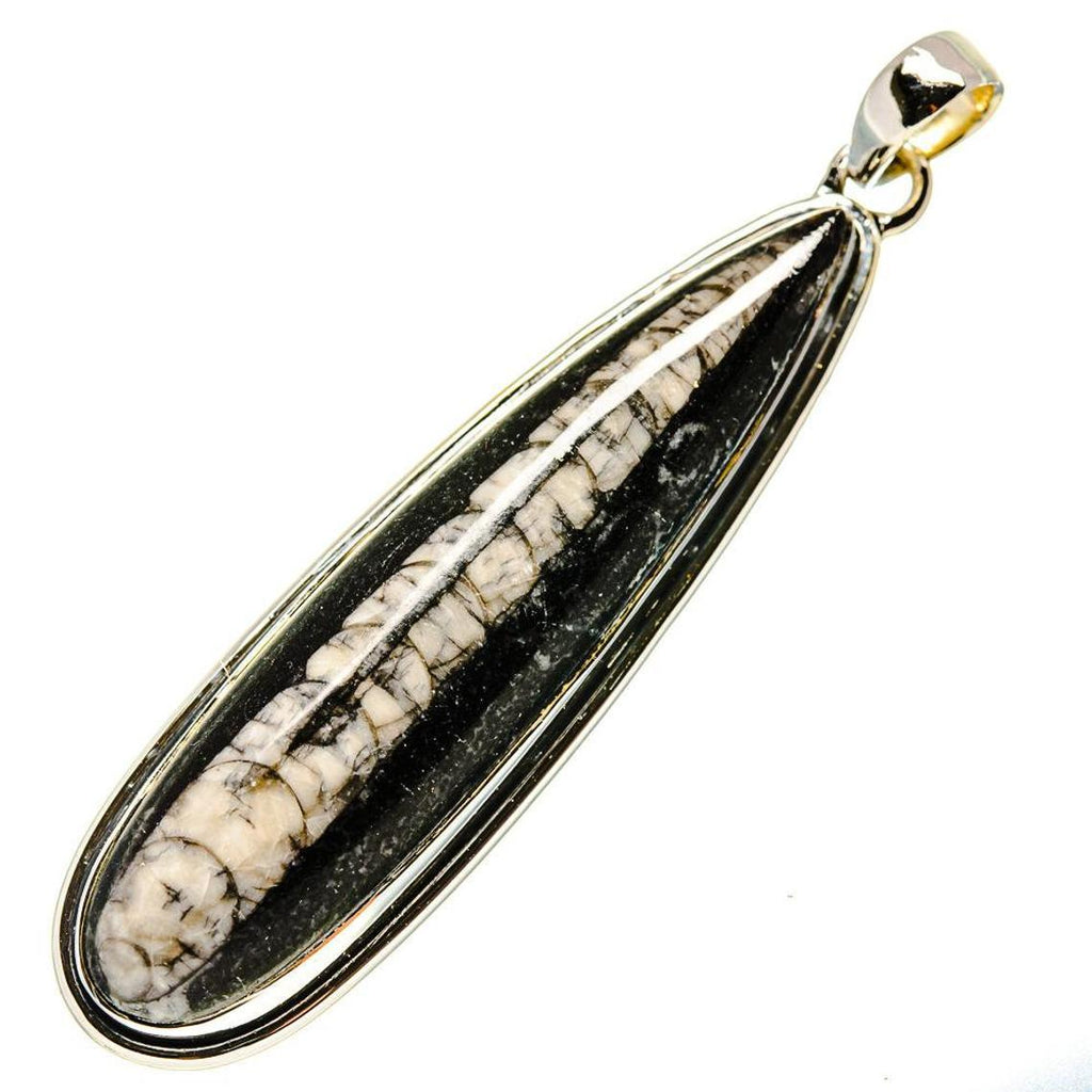 Healing Crystals - Wholesale Orthoceras Pendant